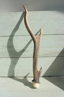 Split Elk Antler Dog Chew