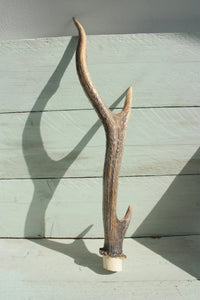 Split Elk Antler Dog Chew